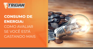 a direita uma imagem de uma lâmpada acesa com moedas em uma mesa, a esquerda o texto: consumo de energia: como avaliar se você esta gastando mais
